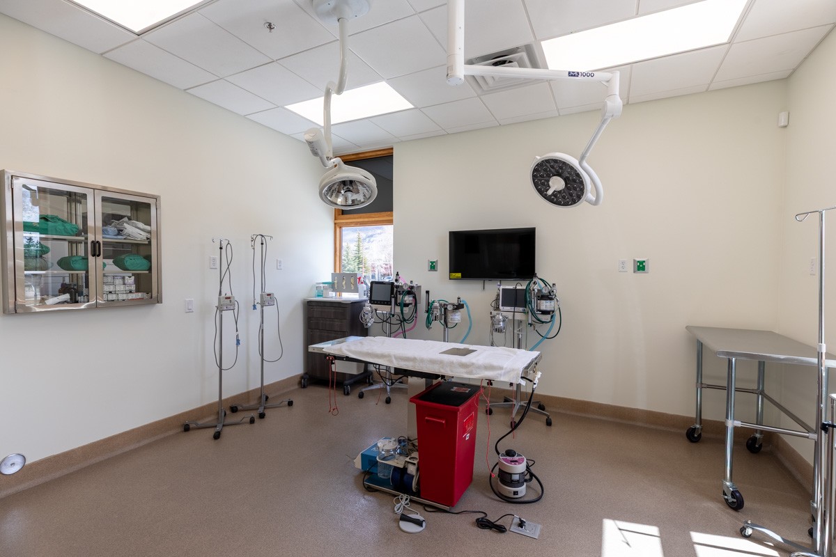 operatory in Silverthorne Veterinary Hospital, Silverthorne, CO 360 Virtual Tour for Veterinarian