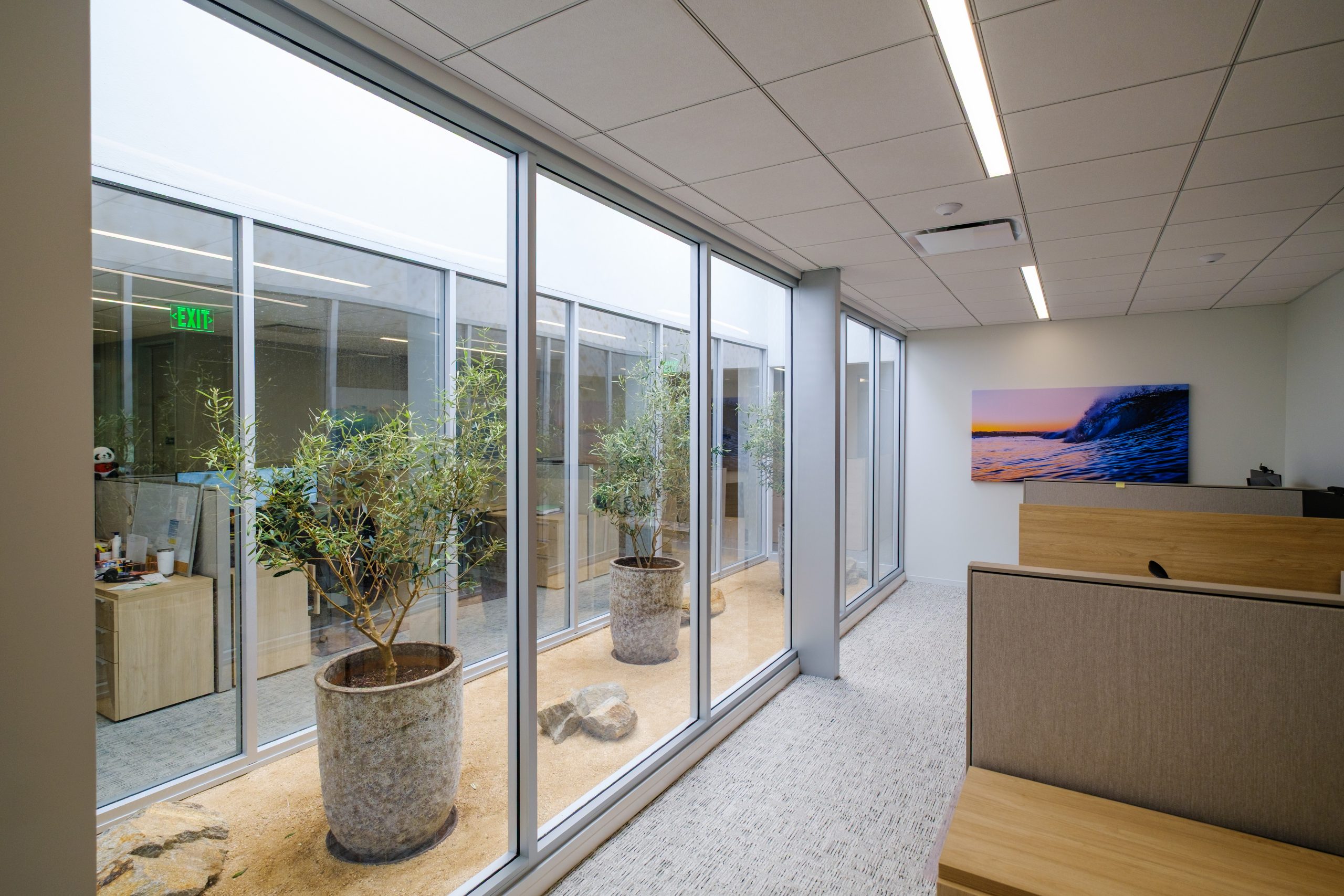 sunlight garden at Kimura London & White LLP, Irvine, CA 360 Virtual Tour for Law firm