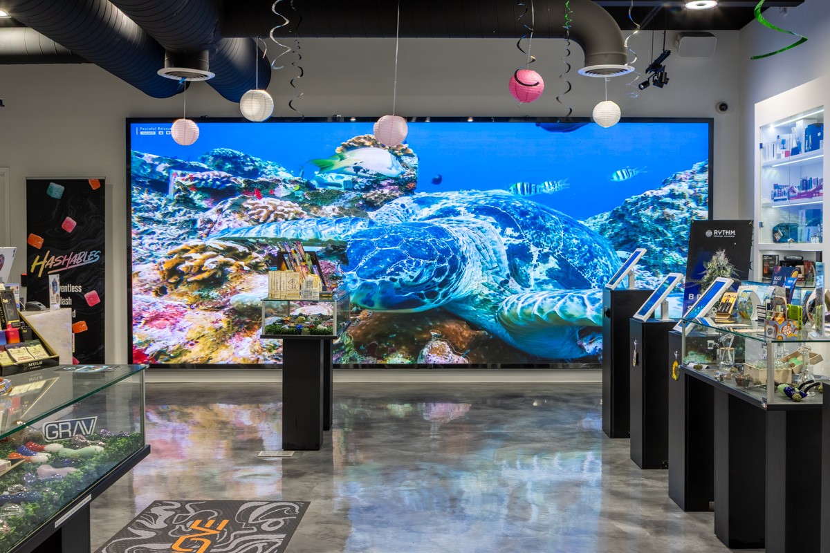 wall screen display at Jersey Meds Cannabis Recreational Dispensary, Pennington, NJ 360 Virtual Tour for Cannabis store