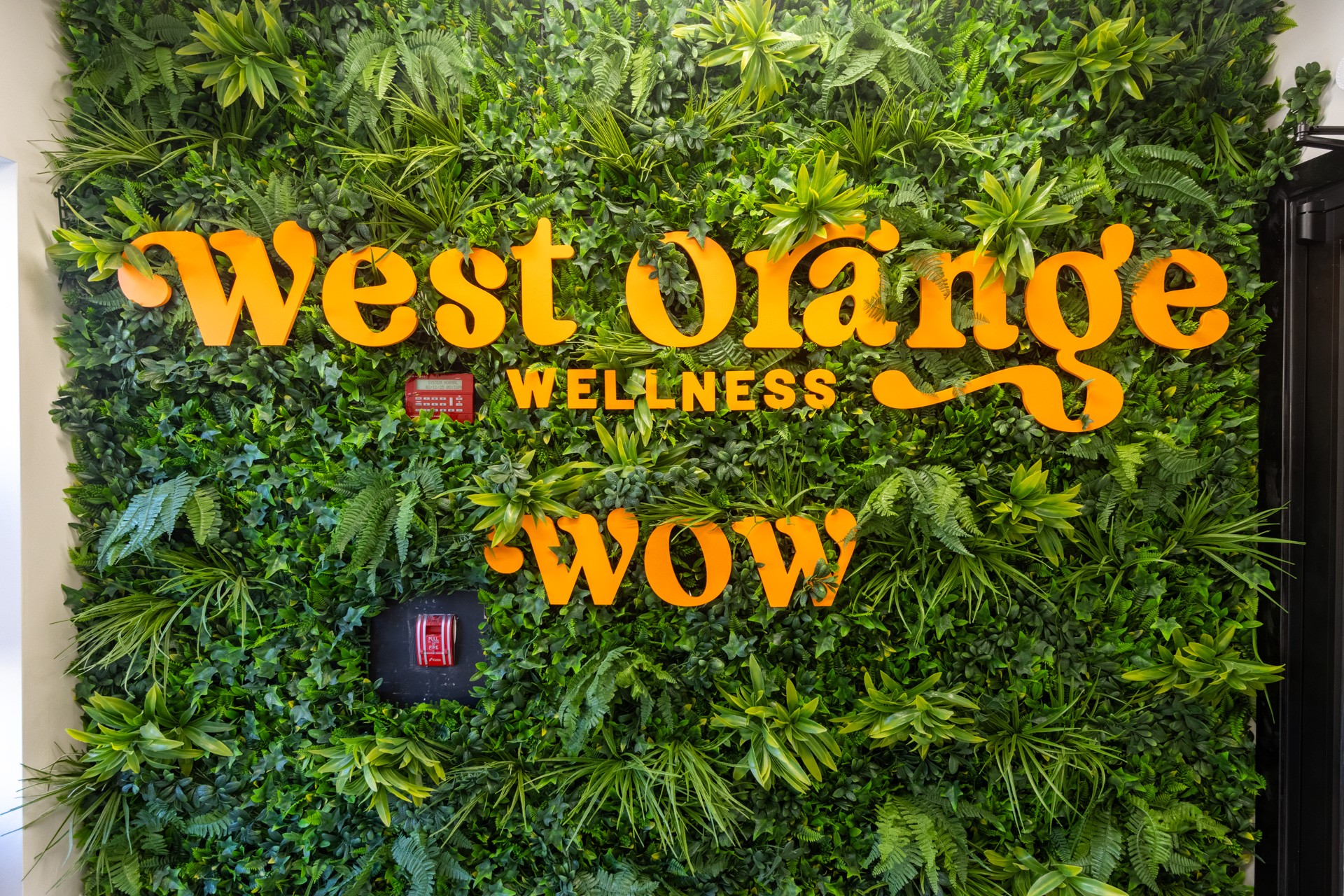wall sign for West Orange Wellness Dispensary, West Orange, NJ 360 Virtual Tour for Cannabis store