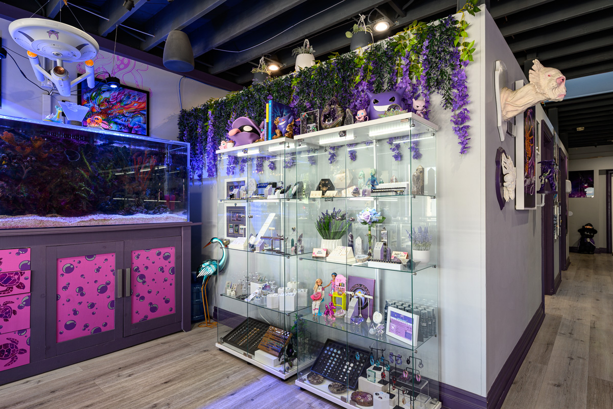 glass display at Aesthetic Ambition Piercing and Fine Jewelry, Santa Monica, CA 360 Virtual Tour for Body piercing shop