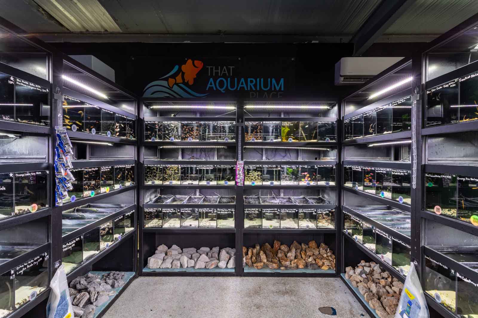 rocks at That Aquarium Place, Spring, TX 360 Virtual Tour for Tropical fish store