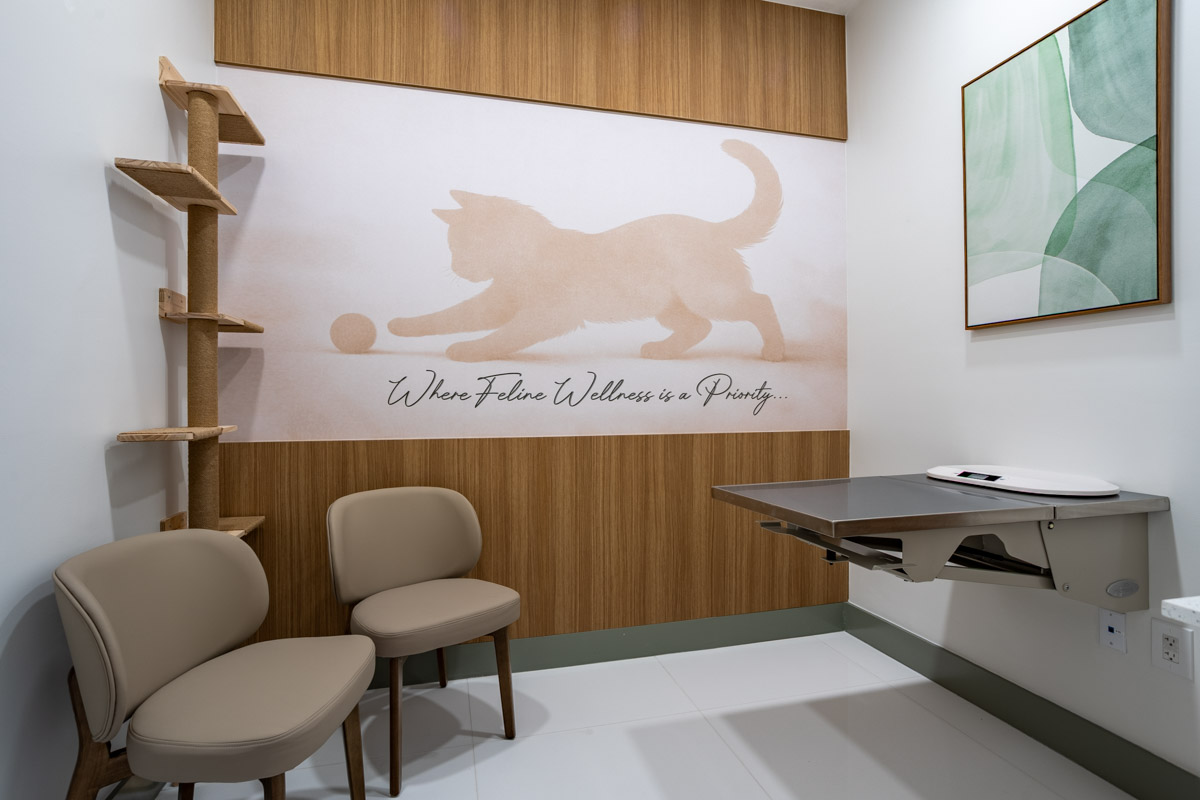 Exam Room at Happy Tails Veterinary Care - Doral, FL 360 Virtual Tour for Veterinarian