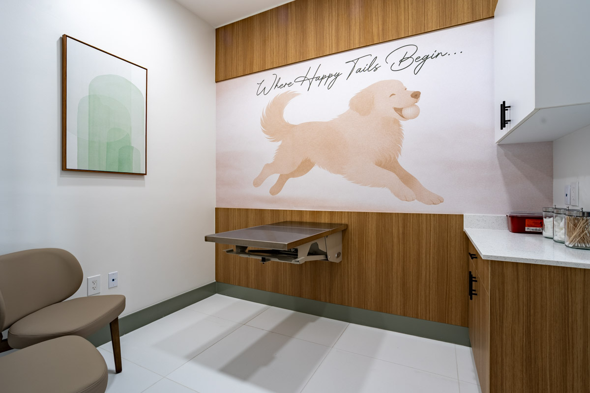 Exam Room in Happy Tails Veterinary Care - Doral, FL 360 Virtual Tour for Veterinarian