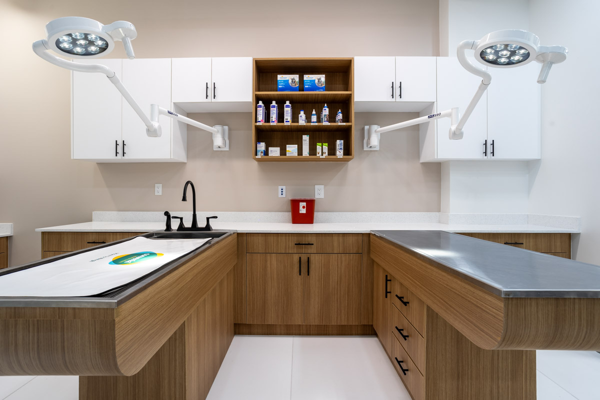Operatory Room Happy Tails Veterinary Care - Doral, FL 360 Virtual Tour for Veterinarian