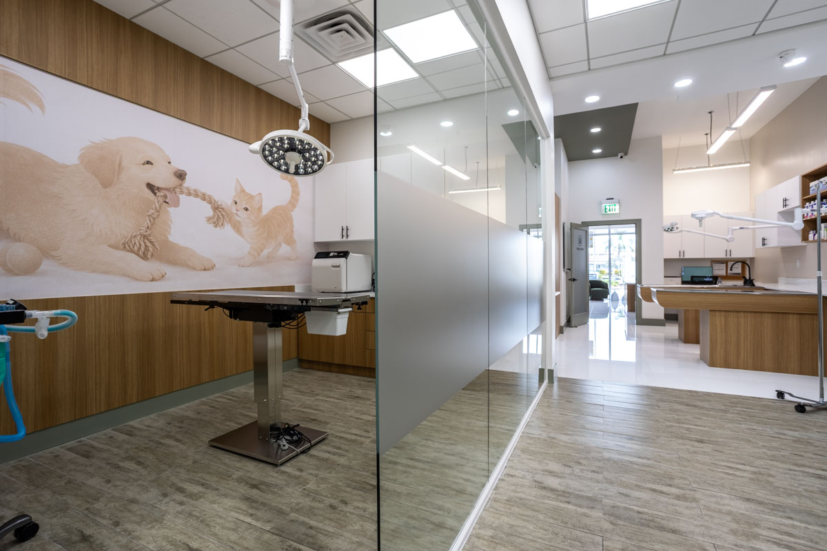 Operatory Room at Happy Tails Veterinary Care - Doral, FL 360 Virtual Tour for Veterinarian
