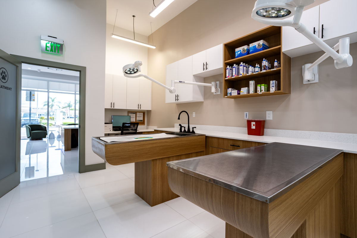 Operatory Room in Happy Tails Veterinary Care - Doral, FL 360 Virtual Tour for Veterinarian